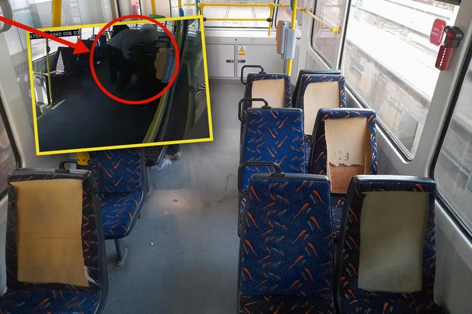 Wandale w tramwaju