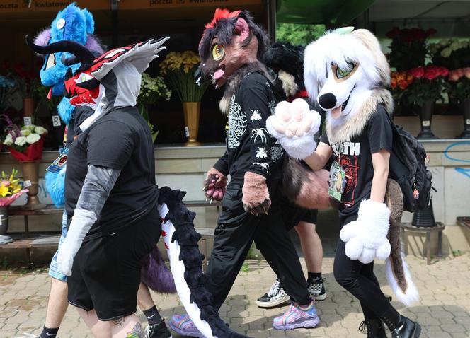 Marsz futrzaków w Lublinie. Tak wyglądał I Lubelski Fursuitwalk