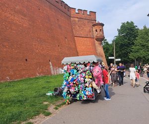 Smoczy Piknik Rodzinny 2025 w Krakowie
