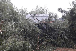 Skutki burzy w Krynkach. Złamany konar zerwał linię energetyczną i uszkodził auto