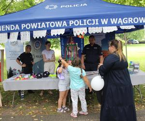 Piknik z okazji Święta Policji w Poznaniu 