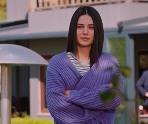 Miłość i nadzieja odc. 270. Kuzey, Bahar, Cavidan