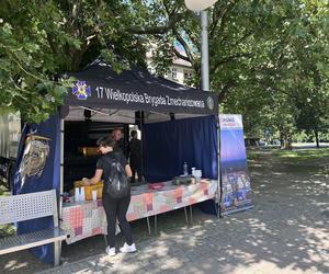 Piknik wojskowy w centrum Gorzowa! Ciężki sprzęt pojawił się na Placu Grunwaldzkim