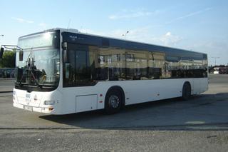 Woody Allen w  toruńskim autobusie MZK? Zawsze miej bilet!