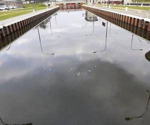 Śnięte ryby ponownie w Kanale Gliwickim
