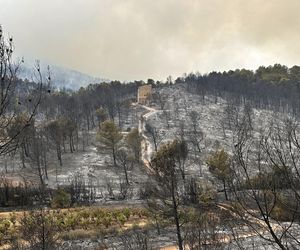 Ogromny pożar we Francji! Spłonął obszar wielki jak Paryż
