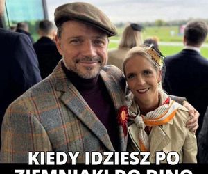 Memy o Dino obiegły social media