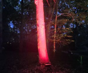 Olsztyn zamienił się w magiczną krainę. Park Świateł przyciągnął tłumy!