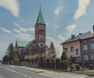 Ptasia grypa atakuje miasta na Śląsku. Sanepid ostrzega