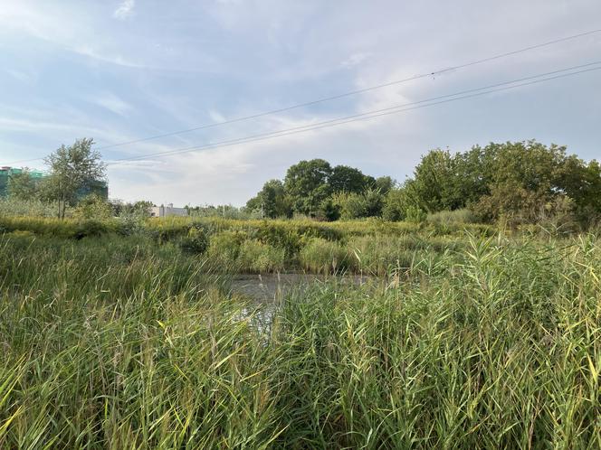 Siekierki i Augustówka