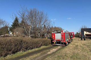 Rodzina z Tarnowa straciła dach nad głową. Ich dom spłonął doszczętnie