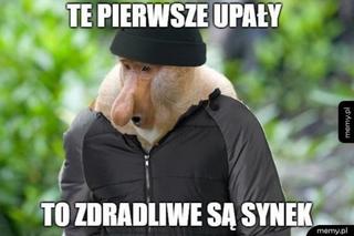 Pierwszy dzień lata 2021 na wesoło! Zobaczcie najlepsze memy w internecie [GALERIA]