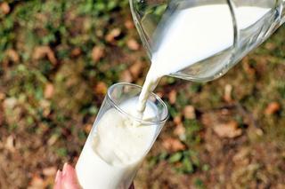 Nie możesz pić mleka z laktozą? Sprawdź, które zamienniki są najlepsze!