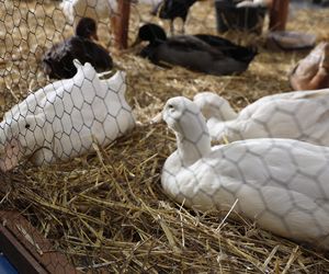 ZooPark ponownie przyciągnął do Targów Lublin tłumy miłośników zwierząt