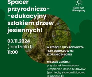 Co się dzieje w weekend 1-3 listopada w woj. śląskim. Imprezy w Katowicach i okolicach