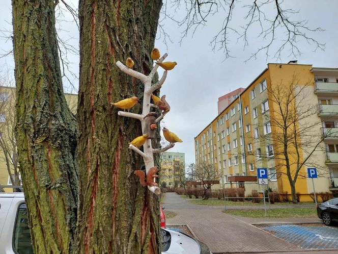 Na bydgoskich drzewach zawisły drewniane rzeźby ptaków i grajków. To pomysł mieszkańca