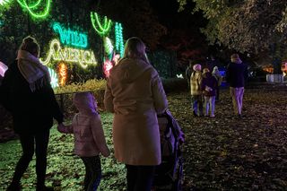 Garden of Lights we Wrocławiu