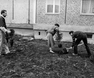 Tychy na starych zdjęciach. Późne lata 80. ubiegłego wieku