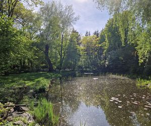 Wiosna w Ogrodzie Botanicznym UKW, czyli spacer wśród zieleni