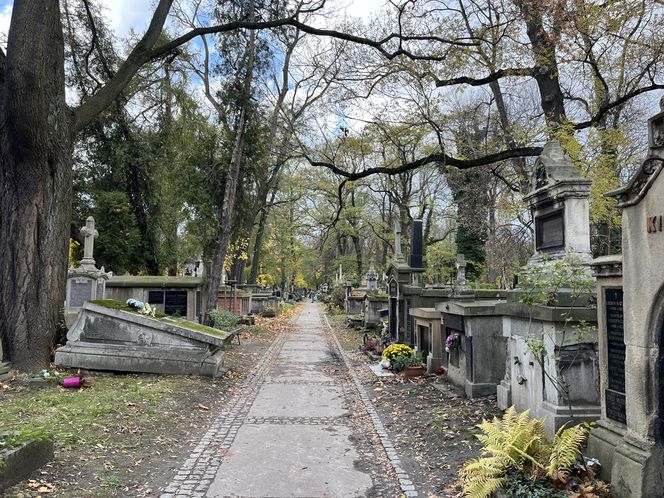 Groby architektów na krakowskich cmentarzach