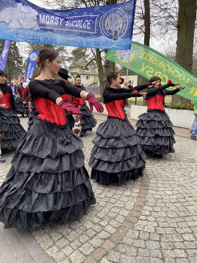 Z 22. Międzynarodowego Zlotu Morsów w Mielnie siedlczanie wrócili z sukcesem na koncie!