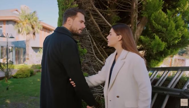 Miłość i nadzieja odc. 324. Kuzey, Sila