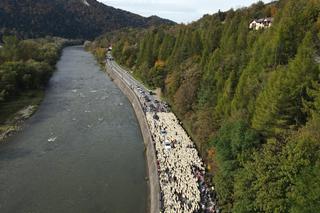 Jesienny redyk owiec w Szczawnicy