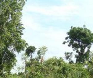 Architekci dla Haiti