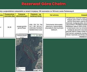 Rezerwat Góra Chełm