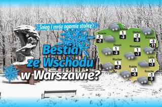 „Bestia ze Wschodu” w Warszawie? Śnieg i mróz ogarnie stolicę! [MAPA]