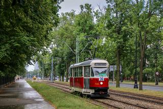 Warszawska podróż w czasie. Kultowe „Parówki”, Ikarusy i Jelcze wracają na trasy