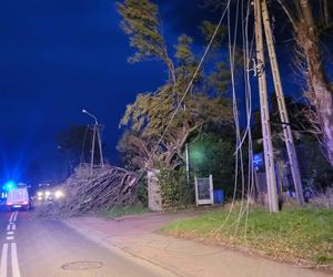 Skutki wichury, która przeszła na Bielskiem-Białą i okolicą