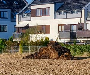 Śmierdzący problem na osiedlu. Mieszkańcy mają hałdy obornika pod oknami