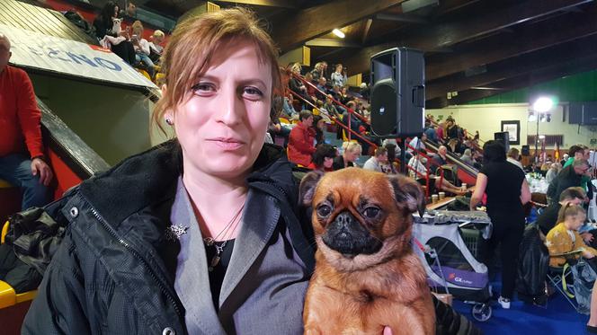 ​Psia elita w Lesznie. W hali Trapez odbyła się XXIV wystawa Champion of Champion's Show