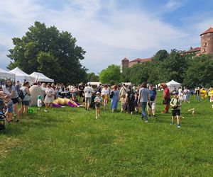 Smoczy Piknik Rodzinny 2025 w Krakowie