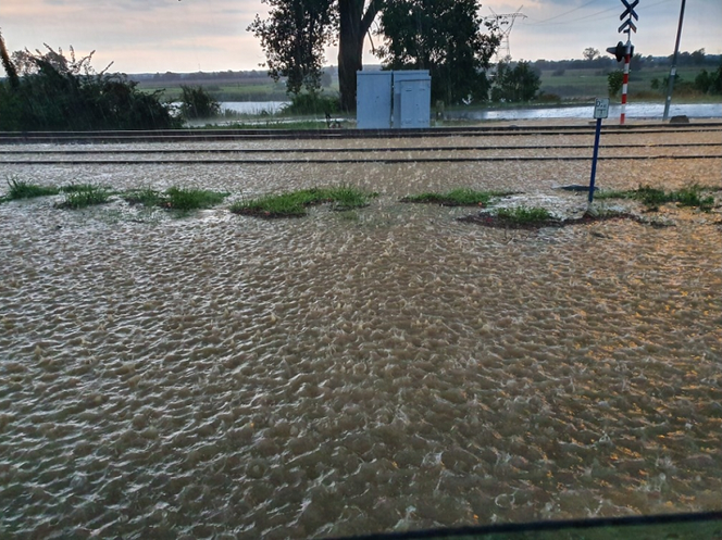 Gorzów: Sprzątanie po ulewie dopiero się zaczyna. Problemy na kolei 