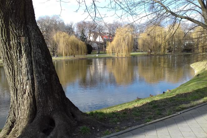 Park miejski w Kielcach
