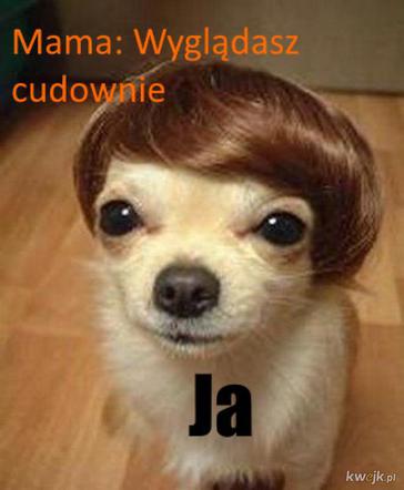 Memy z mamą w roli głównej 