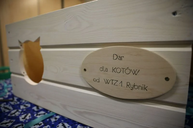 Osoby z niepełnosprawnościami z Rybnika wykonały domki dla bezdomnych kotów