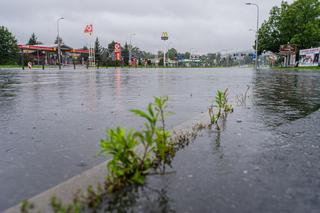 Jelenia Góra pod wodą. Powódź uderzyła w kolejnym mieście