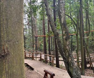 Park Leśny na Oksywiu, Gdynia