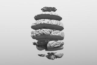 Na KUL-u drukują ludzki mózg. Tak uczą anatomii w 3D!