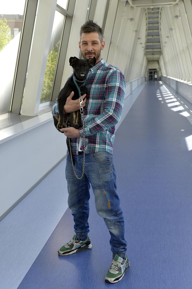 Te psy skradły serca gwiazd! 