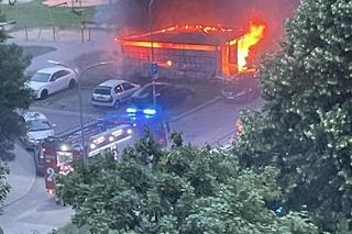 Przyjechali gasić wiatę, w środku były zwłoki. Makabryczne odkrycie na Bielanach