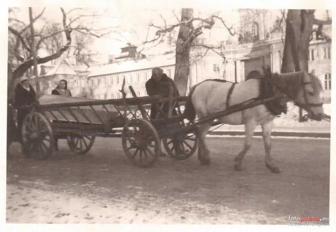 Radzyń Podlaski