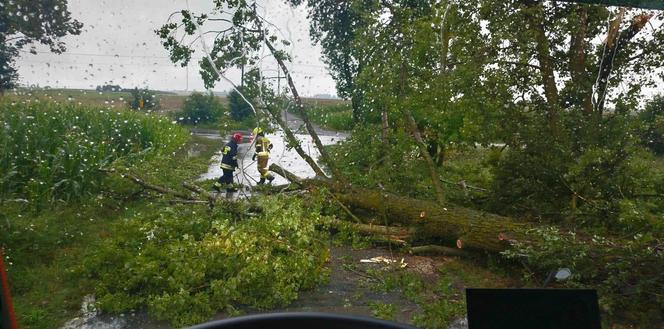  Burzowa noc w regionie Świętokrzyskim! Grad, połamane drzewa, zalane ulice