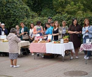 Dzień Cukinii. Integracyjne Święto Warzywa w Siedlcach