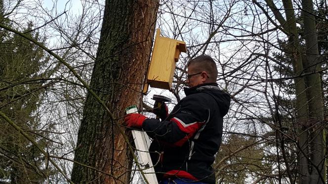  Budki lęgowe zawisły w bydgoskim Ogrodzie Botanicznym UKW w Bydgoszczy