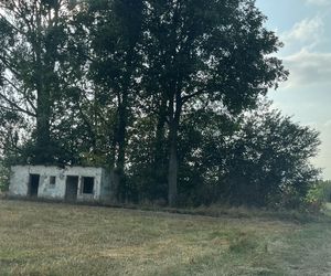 Dramat w Spiczynie. Porwani 44-latka i znęcali się nad nim w potworny sposób