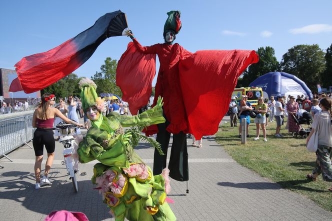 Wianki nad Wisłą 2025 w Warszawie - piknik